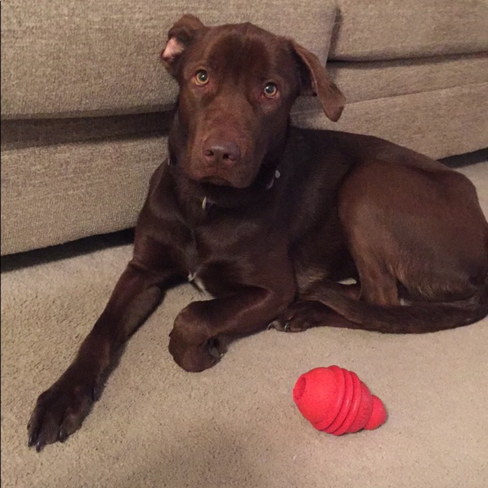 Meet your Posher, Sierra